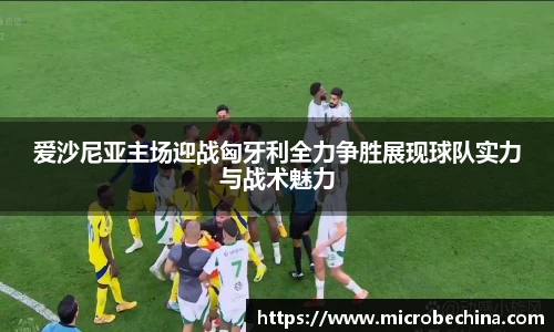 爱沙尼亚主场迎战匈牙利全力争胜展现球队实力与战术魅力
